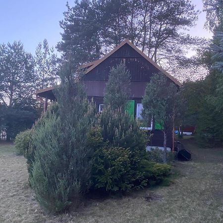 Villa Dom Pod Sosnami à Rzewnie Extérieur photo