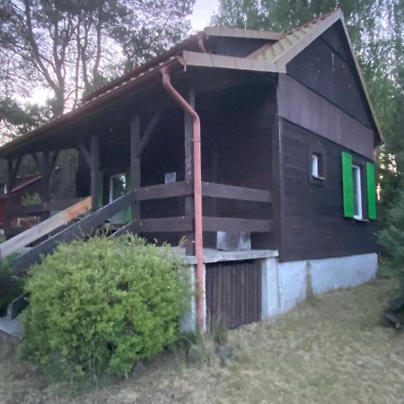Villa Dom Pod Sosnami à Rzewnie Extérieur photo