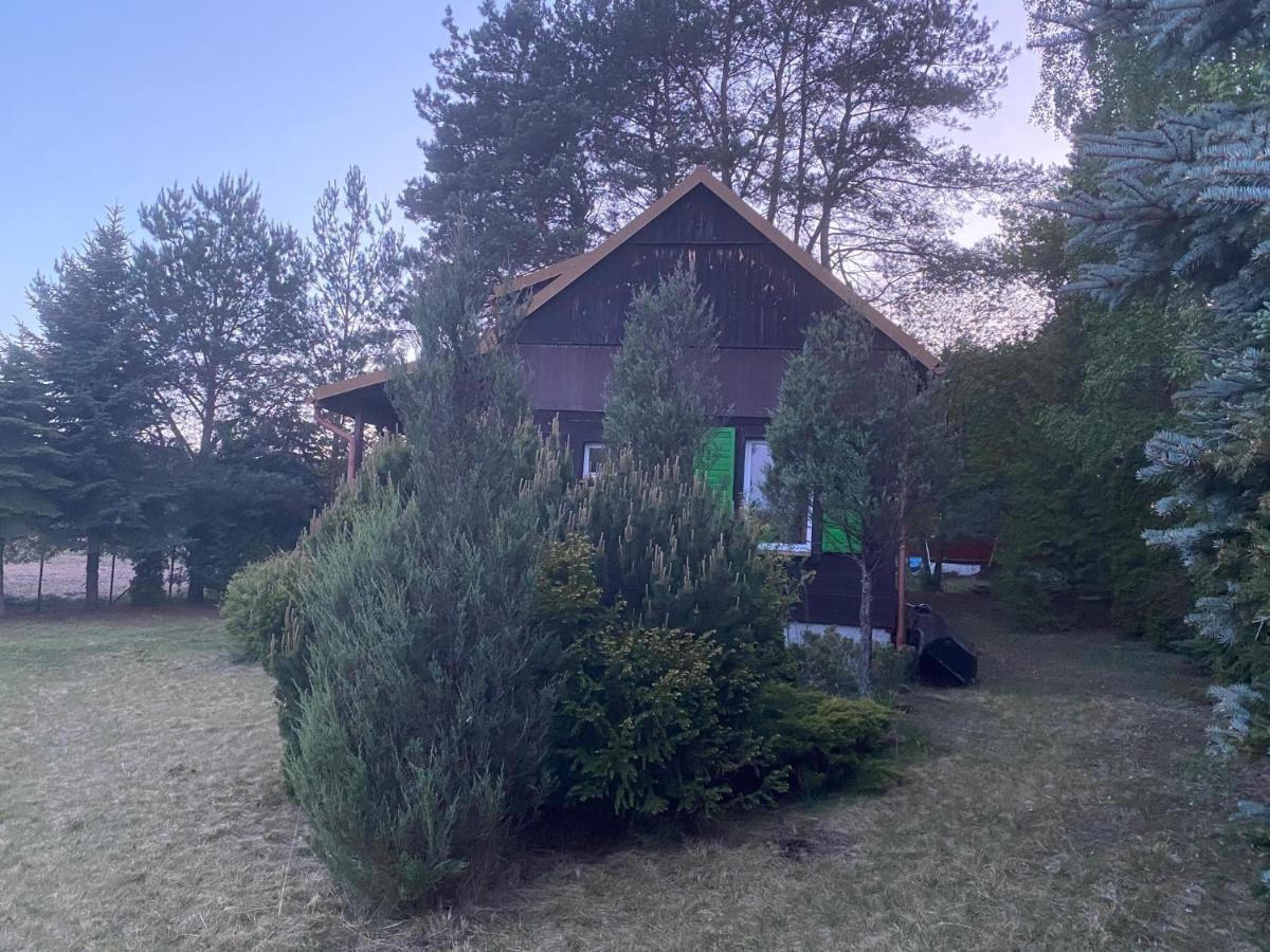 Villa Dom Pod Sosnami à Rzewnie Extérieur photo