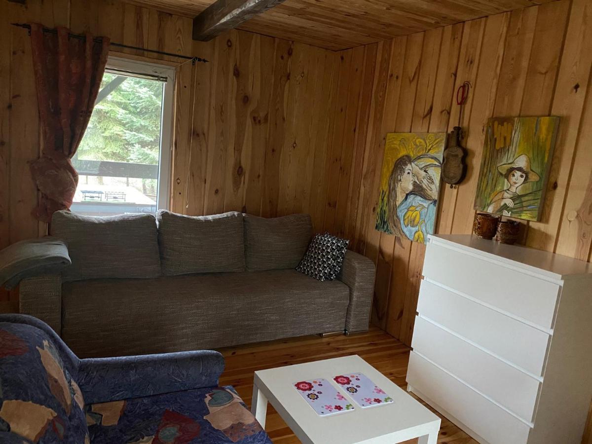 Villa Dom Pod Sosnami à Rzewnie Extérieur photo